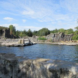 California Sea Lion Exhibit