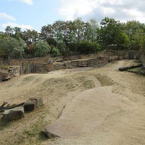 Common Hippo Exhibit - huge land area