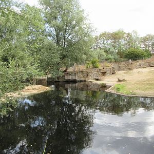 Common Hippo Exhibit - huge lake