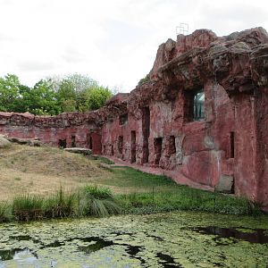 Chimpanzee Exhibit - ghastly mock-rock