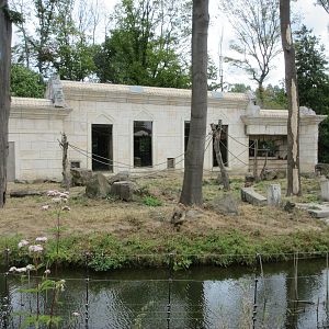 Pig-tailed Macaque Exhibit