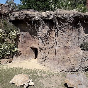 African spurred tortoise -winter quarters