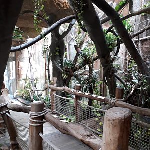 Pavilion of Evolution