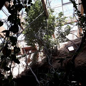 Pavilion of Evolution