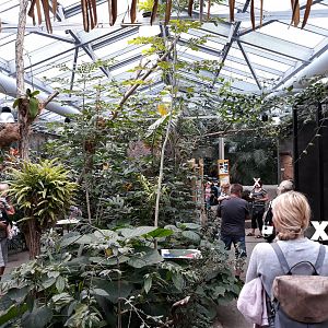 Philippines exhibit - general look