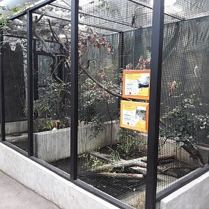 Soa-Soa Water Lizard, Spiny Turtle and Brown Stream Terrapin exhibit