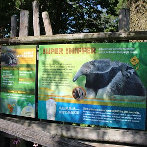 Giant Anteater Signage