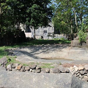 Giant Anteater Outdoor Exhibit