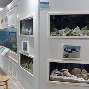 Small Aquariums