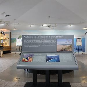 Aquarium Room Overview