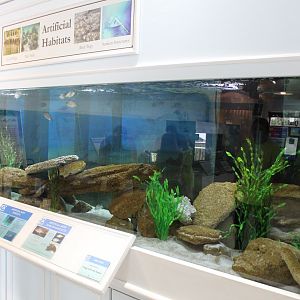 Large Aquarium