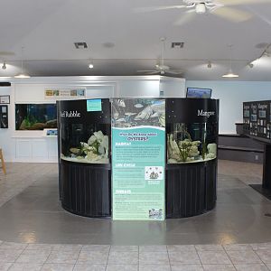 Aquarium Room Overview