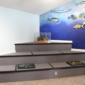 Puzzle and Play Area