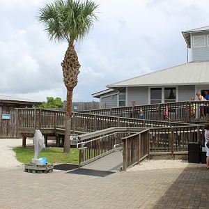 Entrance to Aquarium Room