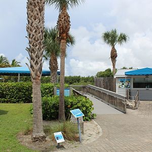 Entrance to Indian River Lagoon