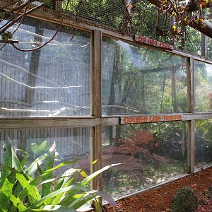Golden Lion Tamarin Exhibit