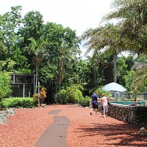 Wings of Love Overview