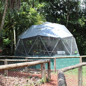 Parrot Aviary