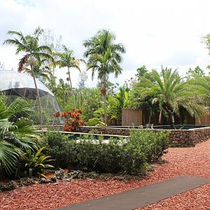 Wings of Love Overview