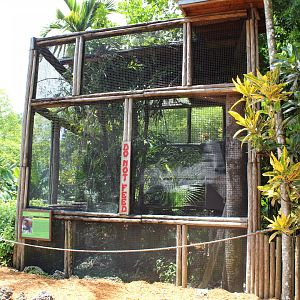 Coppery Titi Exhibit