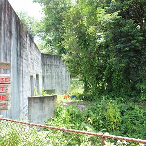 Gorilla Exhibit - Cameroon Jungle