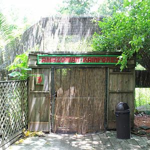 Amazonian Rainforest Entrance