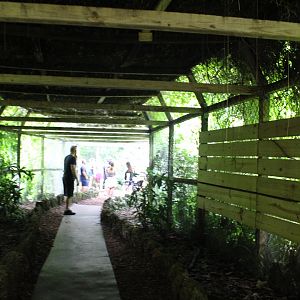 Path to/from Amazonian Rainforest