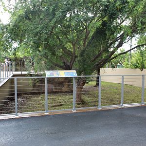 Southern Hairy-Nosed Wombat Exhibit - Australian Center