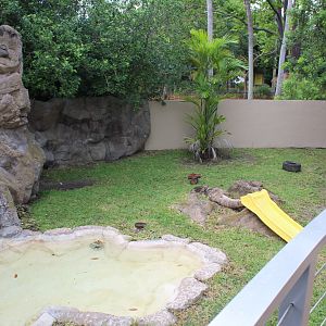 Southern Hairy-Nosed Wombat Exhibit - Australian Center