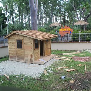 New Guniea Singing Dog Exhibit - Australian Center