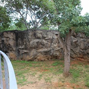 Emu Exhibit - Australian Center