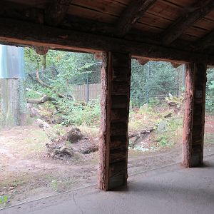 European Wildcat Exhibit