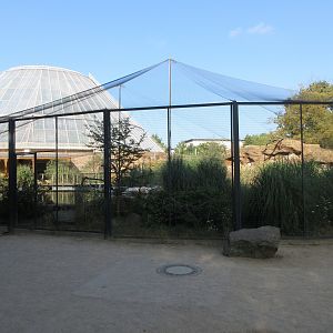 Humboldt Penguin/Inca Tern Aviary
