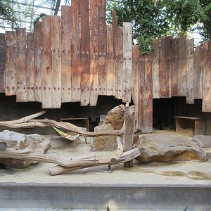 Lowland Gorilla Exhibit (zero outdoor access but home to a couple of 44 year-old apes)