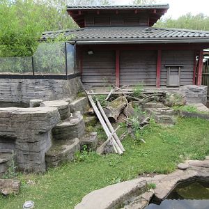 Small-clawed Otter Exhibit