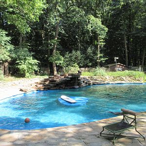 California Sea Lion Exhibit