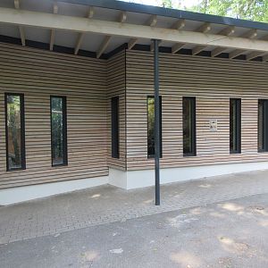 Masked Palm Civet Exhibit