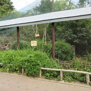 Squirrel Monkey Exhibit