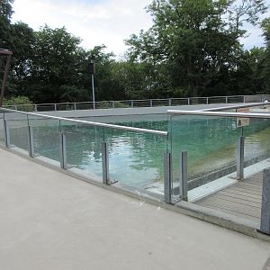 Harbour Seal/Humboldt Penguin Exhibit