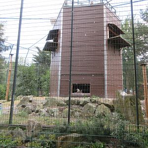 Griffon Vulture Aviary