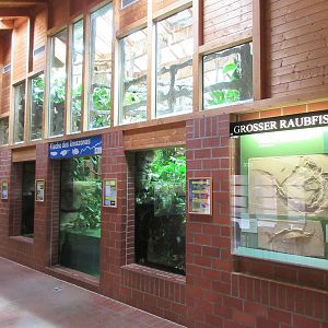 Aquarium-Terrarium Building