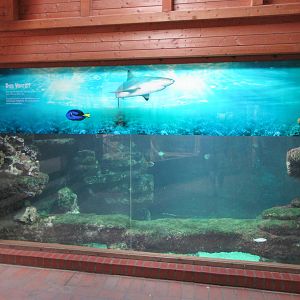 Aquarium-Terrarium Building