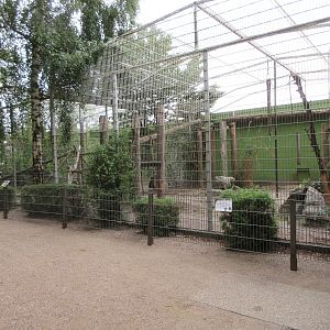 Sri Lankan Leopard Exhibit