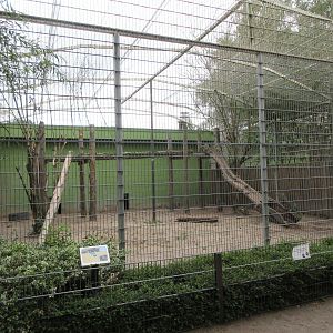 Sri Lankan Leopard Exhibit