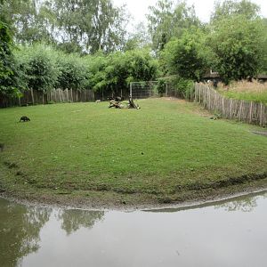 Parma Wallaby Exhibit