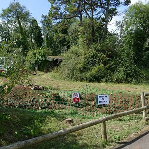 More new fencing, August 2019