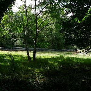 New rhino fence, August 2019