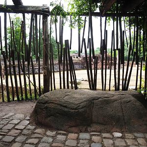 Savanna paddock viewing area, 2019-07-21