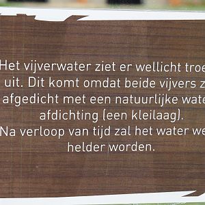 Information sign about the muddy water in the flamingo pool, 2019-07-21
