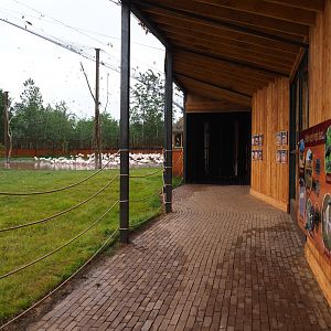 New greater flamingo aviary viewing area, 2019-07-21